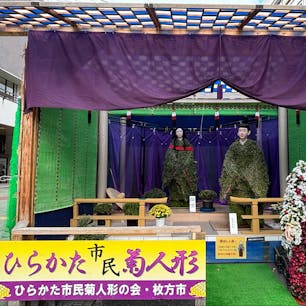 2024/10/27  ひらかた市民菊人形
明治時代から約100年開催された「ひらかた大菊人形」
職人の高齢化や後継者不足などで平成17年秋で終了、
その後はこの形で毎年たのしまれているようです🏵️
#枚方  #大阪