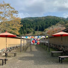 正直勉強不足で知らない場所でしたがここが４００年も土砂や田畑の下にあったとは感慨深いです。