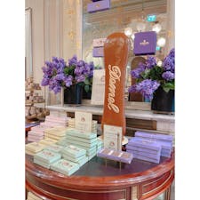 ウィーン「Demel」
本店は、カフェとショップが併設されており、店内はたくさんの人で賑わっていました。

見た目も美しいケーキや日本では販売されてないお菓子など、ズラリと並んでいて、ついつい長居。

食べ歩き用の「カイザーシュマーレン」も販売されており、甘さも控えめで、プラムジャムが甘酸っぱくて美味しかったです。