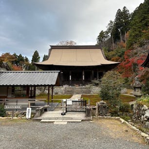 勝林院

京都大原にある寺院
早朝、外から拝見したのみです
今度、証拠の阿弥陀も彫刻技術も
拝見しに行きたいです。
2024.11.17