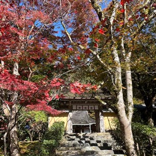 寂光院

京都大原にある寺院
特別公開の
火災で焼け残った旧ご本尊も
見させてもらいました。
仏像胎内にある小さな仏像を
火から守った様に思えて、
墨の立ち姿に何というか力を感じました。
2024.11.17