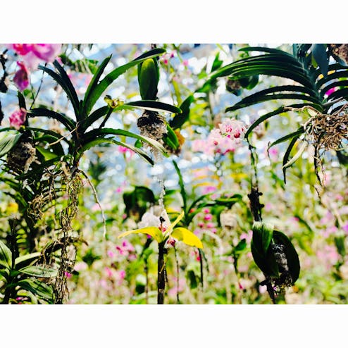 チームラボ プラネッツトーキョー DMM.com