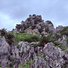 念願の大石林山！！
神秘的で洗礼されました✨