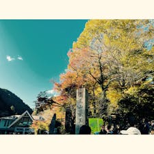 高尾山〜！いい運動になった❁⃘*.ﾟ
♯高尾山♯山♯登山