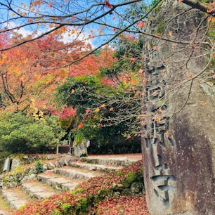 兵庫　高源寺

古刹の紅葉に癒されて