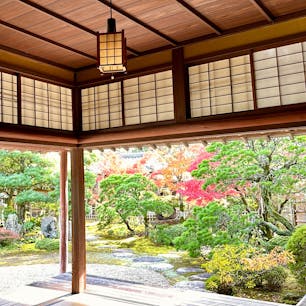 山口県萩市
菊屋家住宅
菊屋家は、かつて、毛利藩の御用商人として藩を支えてきた豪商で、屋敷は藩の賓客をもてなす迎賓館のような役割も担い400年の歴史があります。