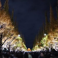 明治神宮外苑いちょう並木 / Tokyo

夜のライトアップが始まりました♪青山通りから見ると銀杏並木の先に、ライトアップされた聖徳記念絵画館が見えて綺麗です。

#tokyo #tokyosightseeing #bluemoon