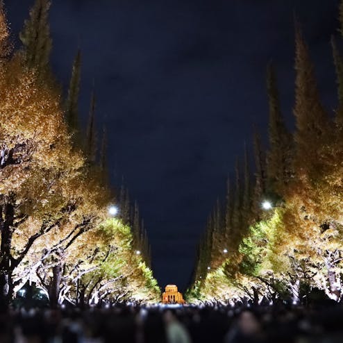 明治神宮外苑いちょう並木