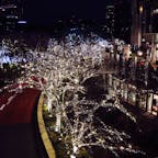 東京ミッドタウン / Tokyo

館内には、“Snow Gift” をコンセプトにしたツリー「Feathery Snow Tree」や「サンタツリー」も飾られて、クリスマスムード満載！クリスマスマルシェも必見です。
ガーデンでは、美しいクリスマスイルミネーションやアイススケートを楽しめます♪

#tokyo #tokyosightseeing #tokyomidtown #bluemoon