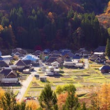 南会津の前沢曲屋集落は、上空から見るとL字型の家が並ぶ集落です。
昔は農耕馬と共に暮らしていた住宅です。偶然、屋根の葺き替えの様子を見ることができました。

#福島県 #南会津 #前沢曲屋集落