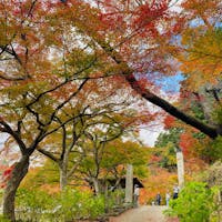 兵庫 円通寺
古刹の紅葉に癒されて2