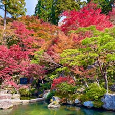 百済寺

滋賀の湖東三山
とても綺麗な庭園でした
石段を上がると本堂になり、
横の鐘楼をつかせていただきました
ありがたいのです♪
あと猫がかわいいです笑
2024.11.24