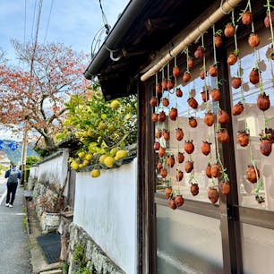 晩秋の萩
まち歩き