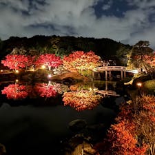 大仙公園　日本庭園

近所なので、今年もライトアップ見に来ました。
紅葉が水面に鏡のように映りめちゃくちゃ綺麗でした。
2024.11.30