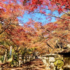 兵庫　高山寺

古刹の紅葉に癒されて3