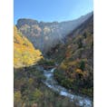 11月初旬の称名滝
色づいた木々と美しい滝、青い空
最高でした！

#富山
#立山
#黒部
#アルペンルート