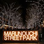 MARUNOUCHI STREET PARK / Tokyo

丸の内仲通りのクリスマスイルミネーション。光のトンネルを通りながらアート作品を撮影したり、クリスマスカートでホットジンジャーを買って飲んだり。
スーパーマリオとコラボレーションした 特別なホリデーオブジェも出現し、スタンプラリーを楽しむファミリーで賑わっていました♪
丸の内が一番美しい季節。イルミネーションは、2025年2月16日まで開催しているので、東京駅まで来たら、ぜひ立ち寄ってみてください。

#tokyo #tokyosightseeing #marunouchi #bluemoon