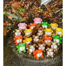 富部神社　名古屋市南区

カエルで有名ですが実は病気平癒に大変御利益があるそうです

カエルの絵馬、お守り、御朱印、おみくじがたまりません。
おみくじはこのカエルのお人形に入ってます。お人形は持って帰ることにしても良い意味があるそうです。勿論持ってカエル🐸