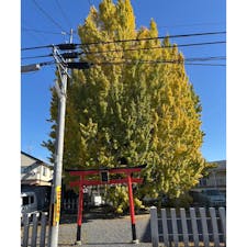 八大龍王辨財天

イチョウを見に再訪しました
見事です、少し早くて落葉が
今からって感じでしたが、
今年一年の感謝をお詣りさせて頂きました
2024.12.1