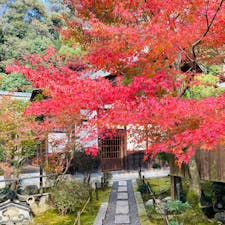 京都　東福寺
龍吟庵
普段は非公開のお庭がきれい