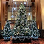 東京都/東京會舘

とってもゴージャスなクリスマスツリー🎄

#puku2'24
#puku2"11
#puku2'24母娘食い倒れ旅
#東京#丸の内