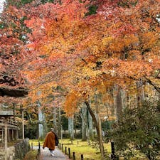 京都大原
三千院
本当に美しい紅葉でした。