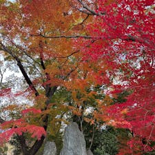 吉田神社⛩️→真如堂→くろ谷さん→永観堂→南禅寺→蹴上インクラインまでを歩く
🍁🍁🍁どこを切り取っても絵になる。