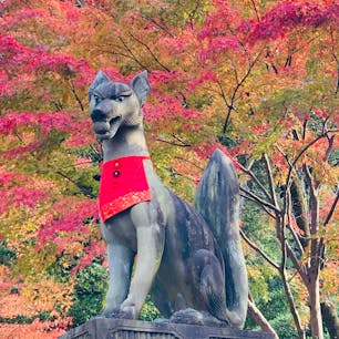 京都　伏見稲荷大社

狐と紅葉
パワースポットですね