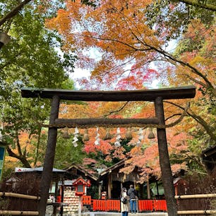 京都嵯峨野
野宮神社
恋愛成就、子宝安産に御利益があることで知られています。