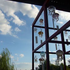 9月に訪れた京都水族館。お気に入りはチンアナゴ。ちょうど餌やりシーン見れた。
くらげの風鈴、チケットのイラスト、壁面の魚、細部の可愛さにキュンとした水族館だった。