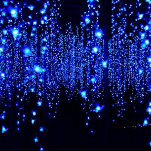 今年で23回めとなる「あしかがフラワーパーク」のイルミネーション。
何度見ても素晴らしさに感動しますが、まだご覧になっていない方には、一度は見て頂きたいと思います。
来年の2月16日までの開催です。

#栃木県 #足利 #あしかがフラワーパーク
#光の花の庭 #イルミネーション