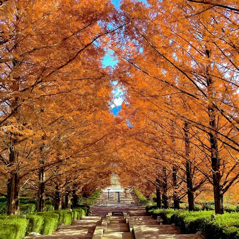 富士川クラフトパーク