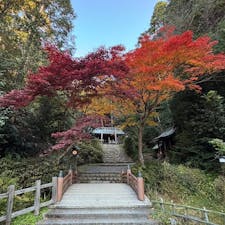 日向大神宮

京都の蹴上から上がるとある神宮
静かで厳かな雰囲気が気持ちいい
紅葉も綺麗でした
参拝してからここから大文字山を
目指しました。
2024.12.７