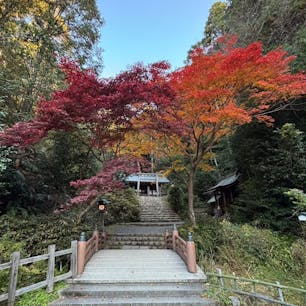 日向大神宮

京都の蹴上から上がるとある神宮
静かで厳かな雰囲気が気持ちいい
紅葉も綺麗でした
参拝してからここから大文字山を
目指しました。
2024.12.７
