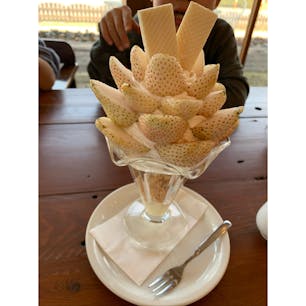 【いちごの里】栃木県小山市

まずはいちご🍓狩りを楽しんで沢山のいちごを✨
こちらはカフェレストランもありアンジェ•へレーゼで白いいちごのパフェとカレードリアをいただきました✨
いちごのパフェめちゃくちゃ美味しく色も本当に白いのですがちゃんと甘かったです✨
カレードリアも美味しすぎて✨

2022.2.22🐈🍓