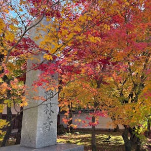 永観堂　禅林寺

見たかった紅葉の名所、永観堂
素晴らしいですね
綺麗です
2024.12.7