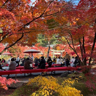 永観堂　禅林寺

境内を見まわしたおしても
紅葉が見事です
人は多いですが楽しめました♪
2024.12.7