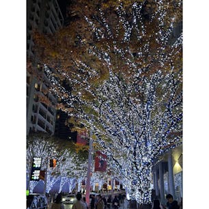 東京都/六本木

ブルー🩵を基調とした素敵なイルミネーション✨
沢山の人が撮っていた東京タワーとのコラボ写真🤳
つい、真似して撮ってしまいました。

#puku2'24
#puku2"11
#puku2'24母娘食い倒れ旅
#東京#イルミネーション