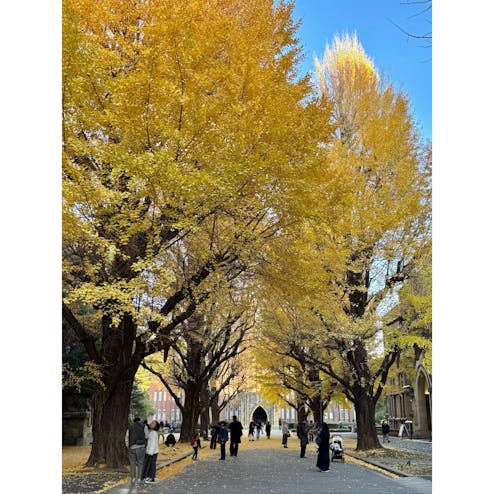 東京大学 本郷キャンパス