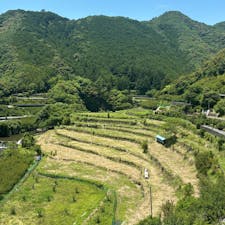 上洞　棚田　　和歌山県印南町

難しい地名ですが、かぼらと読みます
これは春に訪れたときの画像です。残念ながら現在は後継者不足で休耕田だそうです。
