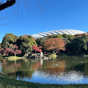 東京都/小石川後楽園

都内にこんなに素敵な庭園があることを今まで知りませんでした。

バックに見える東京ドームや高層ビルとの調和も面白く、ゆったりとした時を過ごすことができました。

#puku2'24
#puku2"11
#puku2'24母娘食い倒れ旅
#東京