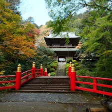 茨城の雲巌寺。かつては禅宗の四大道場の一つと呼ばれ、松尾芭蕉も訪れた古刹です。
「大人の休日倶楽部」のロケ地にもなっています。

#茨城県 #雲巌寺