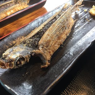 屋久島にてトビウオの唐揚げを食す。意外とボリュームがある。。