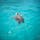 マレーシア🇲🇾レダン島
タートルアイランドまでボートで出かけると、亀🐢と泳ぐことが出来るのです(^ ^)