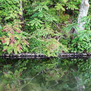 2018.08.12
🏕:大沼国定公園(北海道七飯町)
📷: EOS kiss x9i
水上ボートから。