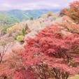 奈良　吉野山

桜の時期も
紅葉の時期も
どちらもいいですね