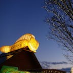 南相馬市の中里工務店で毎年飾り付けされているトトロの世界。
小規模だけれど優しくて温もりを感じる大人気のスポットです。
イルミネーションは、2025年1月8日までの予定


#福島県 #南相馬市 #中里工務店