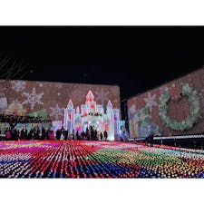 関東最大級のイルミネーション🎄