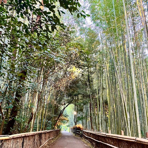 嵐山 竹林の小径