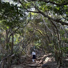 20241103

福岡　糸島　トトロの森

こちらも人気なのか大渋滞でした
なので、少し遠くに車を停めて
ブラブラ散歩しながらめざしました

大門の鳥居をくぐると、そこは海ーー
晴れて気持ちよかったけど、とにかく風が強かった

トトロの森をのぼって展望台へ
こちらも展望台に登るのに順番待ち
玄界灘を一望できて気持ちよかったです
